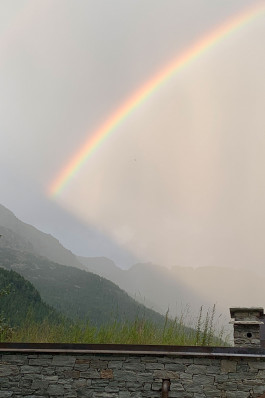 BARBARA WEISS ARCHITECTS