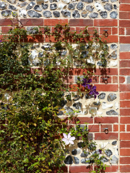 BARBARA WEISS ARCHITECTS