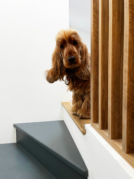 BARBARA WEISS ARCHITECTS